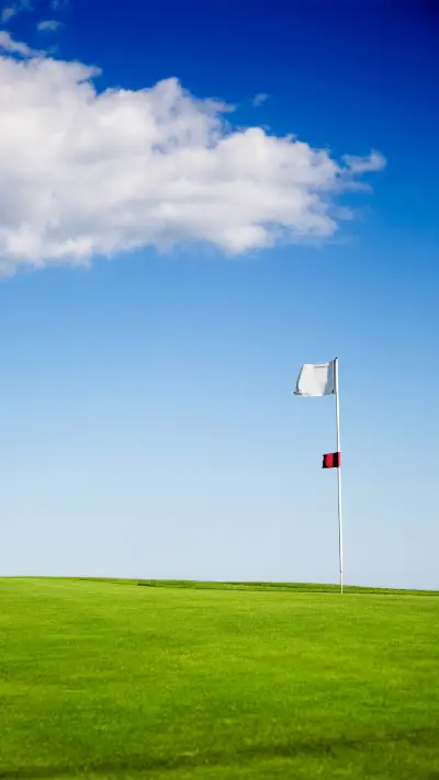 Green Grass And Blue Sky