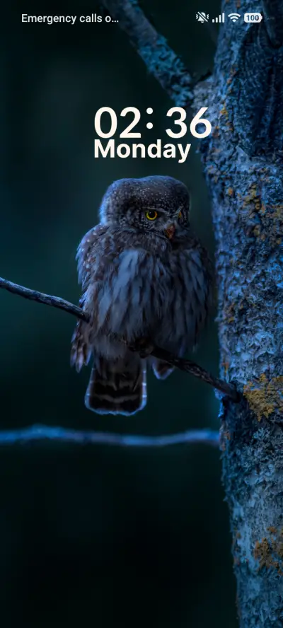 Ashen Woods - Screenshot 1