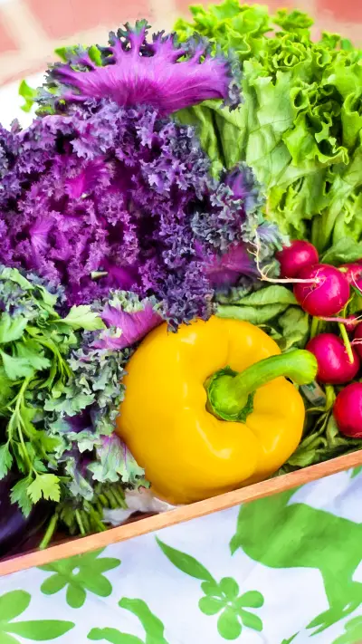 veg (14) - Screenshot 1