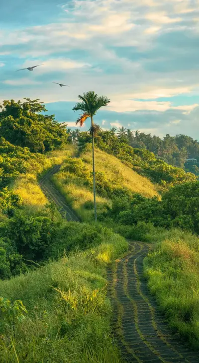 Roads & Pathways (32)