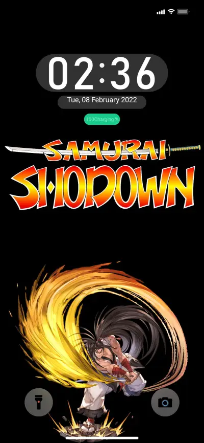 P-Samurai v12.5 - Screenshot 1