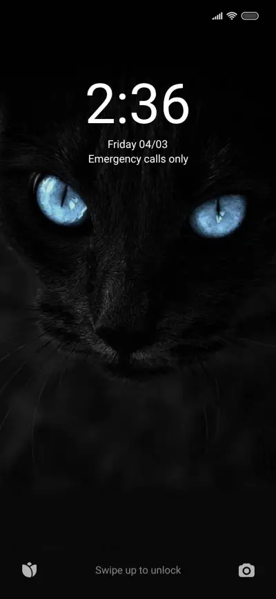 Gatto Black v12 - Screenshot 1