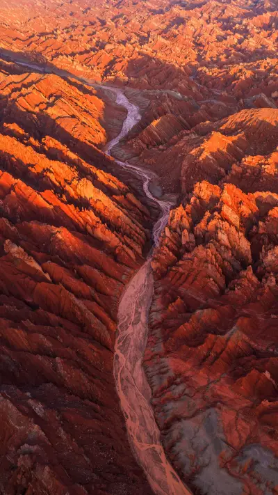 The weather forecast dare not report 40