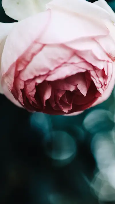 international_scenery (15)