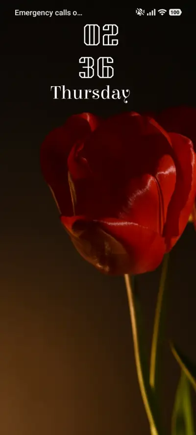 Ruby Bloom THEME for Xiaomi MIUI HyperOS
