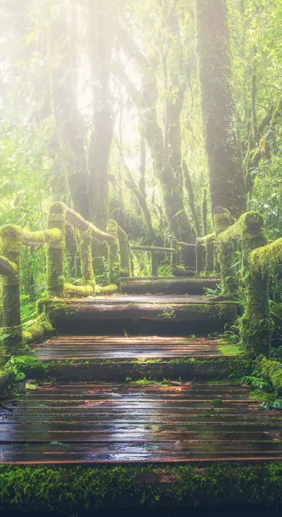 Top 150 - 2020-07-07T184058.813