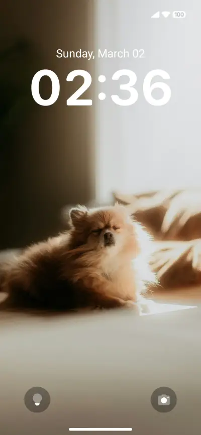 conbrute - Screenshot 1