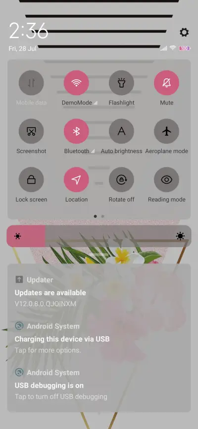 Window flower - Screenshot 5