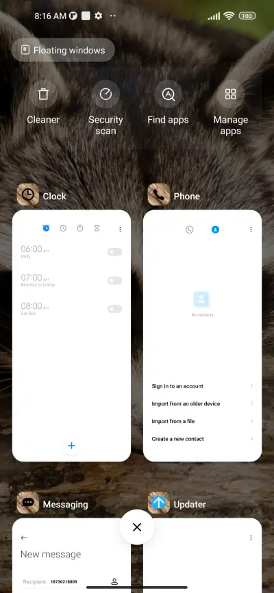 wildlife raccoon - Screenshot 4