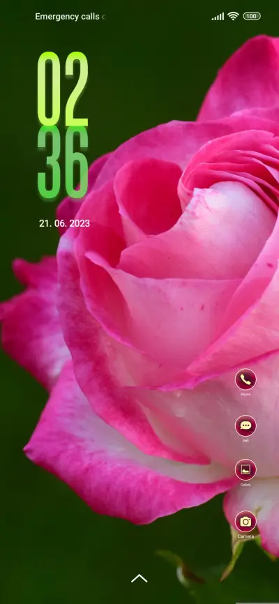 flowers pink - Screenshot 1