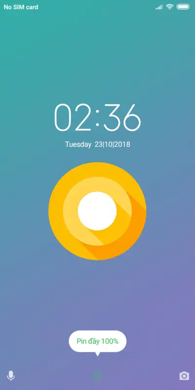 NVT S-Google Pixel - Screenshot 1