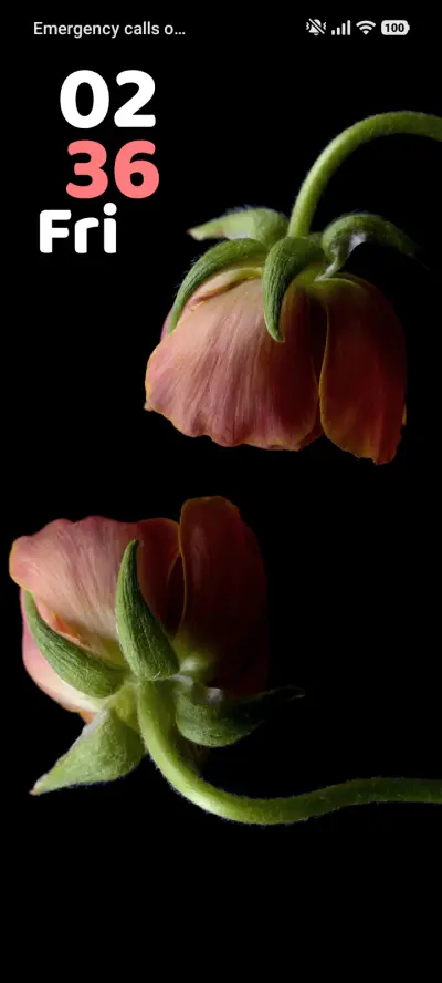 Dark Buttercup - Screenshot 1