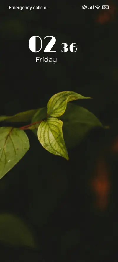 Midnight Leaves THEME for Xiaomi MIUI HyperOS