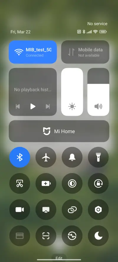 Brown Turtle - Screenshot 5