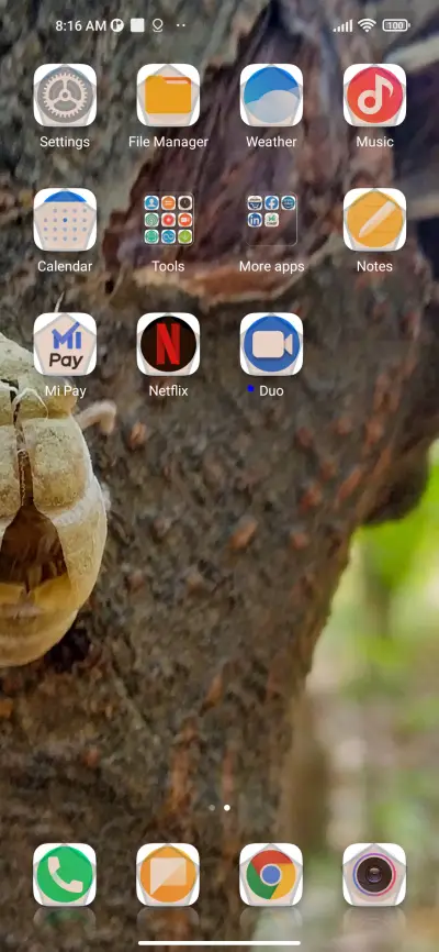 Insect - Screenshot 3