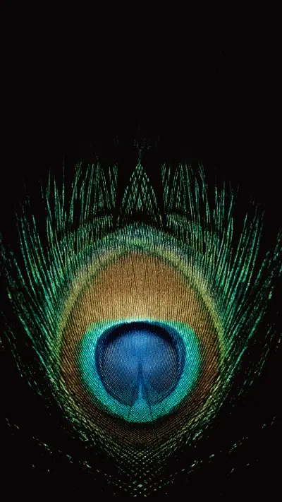 VCG416027-000292 WALLPAPER for Xiaomi MIUI HyperOS