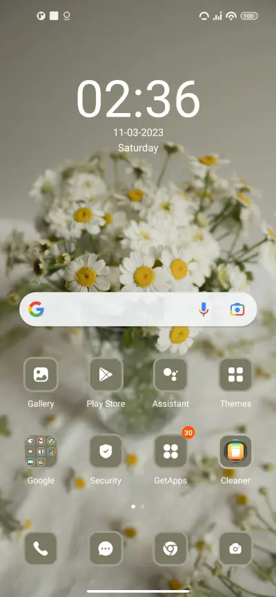 Bouquet - Screenshot 2