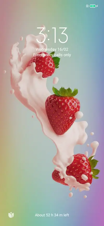 F2t0u2o - Screenshot 1