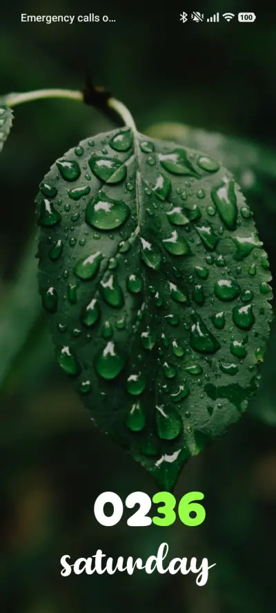 Leaf Droplets