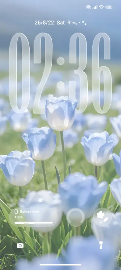 Flower Transparent - Screenshot 2