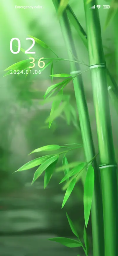 Bamboo rhyme - Screenshot 1