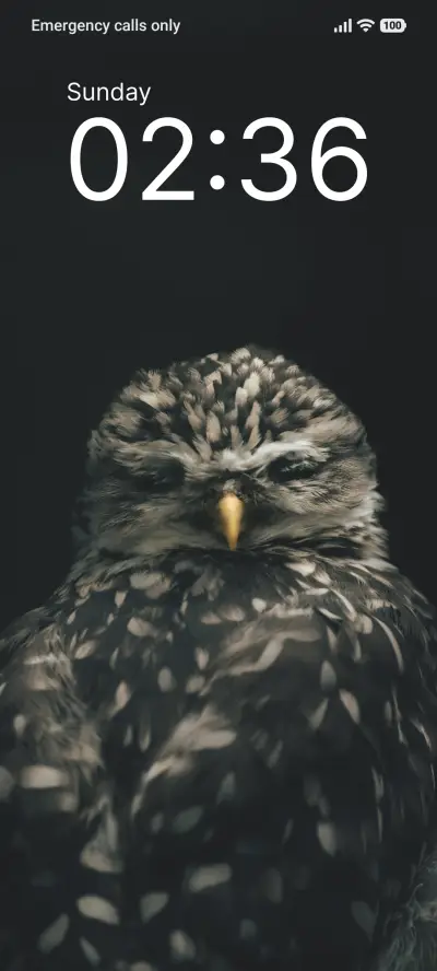 Monochrome Feather