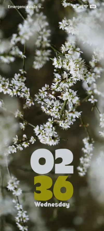 Tree Blossoms - Screenshot 1