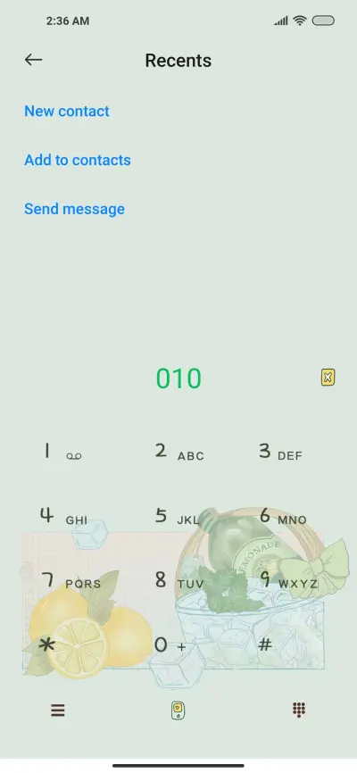 fireworks - Screenshot 6