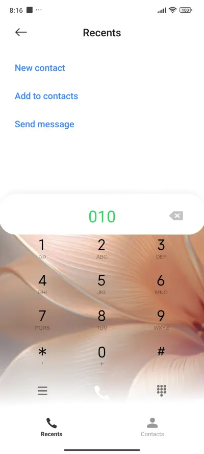 flower - Screenshot 4