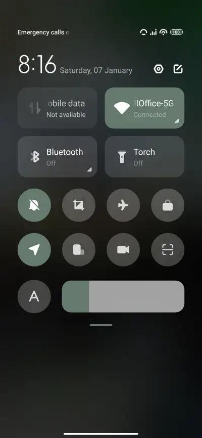 panda - Screenshot 5