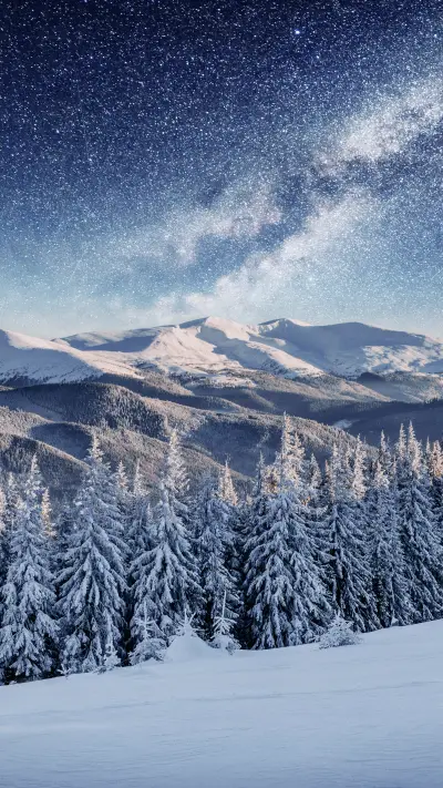 Dairy Star Trek in the Winter Woods