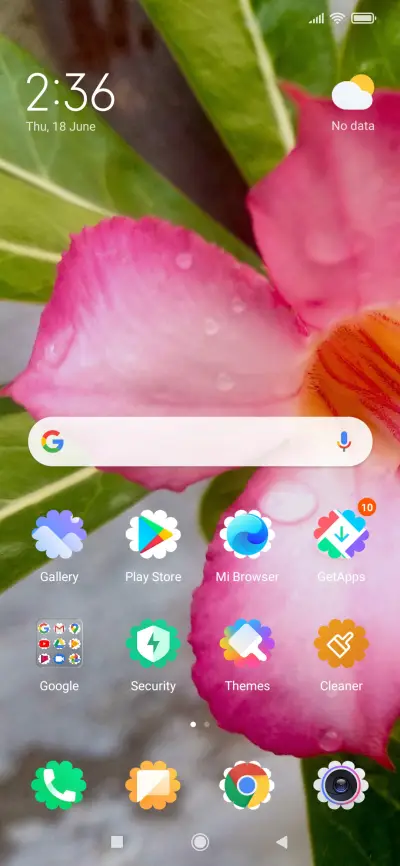 Natural Flower_DWM2 - Screenshot 2