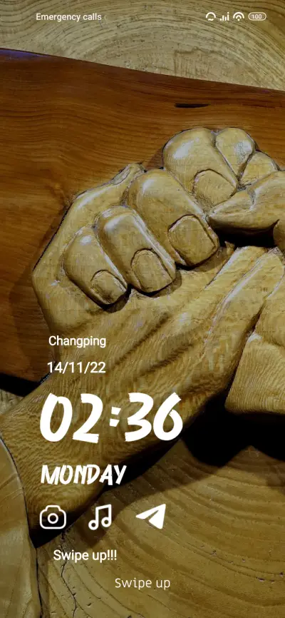 Wooden hand - Screenshot 1