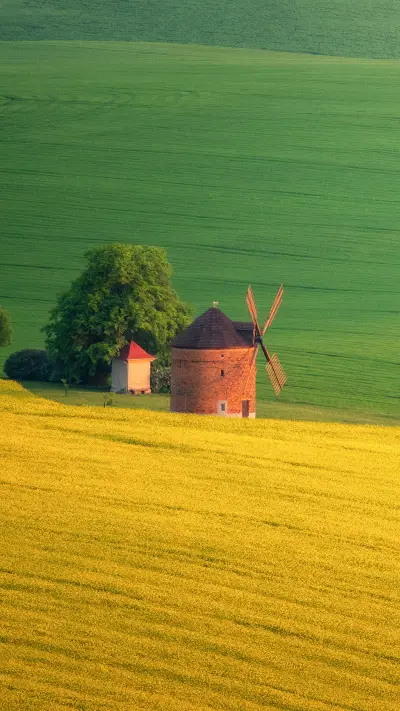 Meeting beauty in early summer time - Screenshot 1