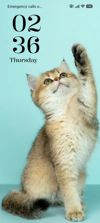Fluffy Cat THEME for Xiaomi MIUI HyperOS