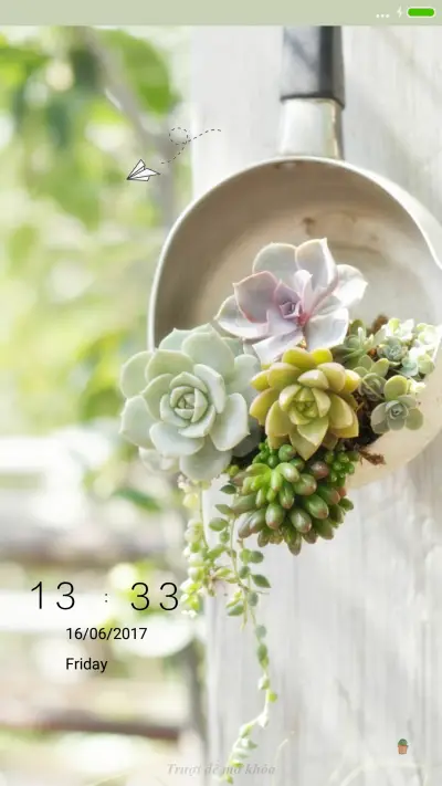 Bất Phụ Lưu Niên