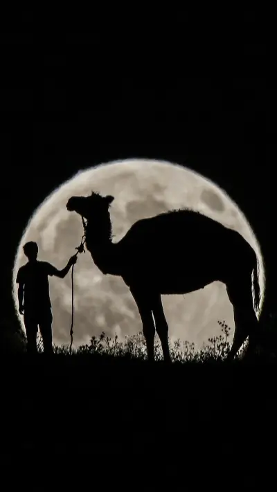 Human silhouette at night WALLPAPER for Xiaomi MIUI HyperOS