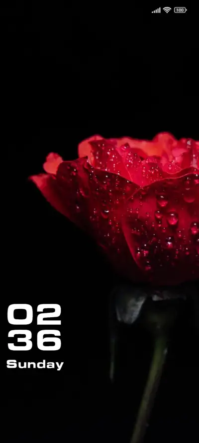 Amoled Rose - Screenshot 1