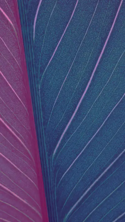 Art Wallpapers-10 - Screenshot 1