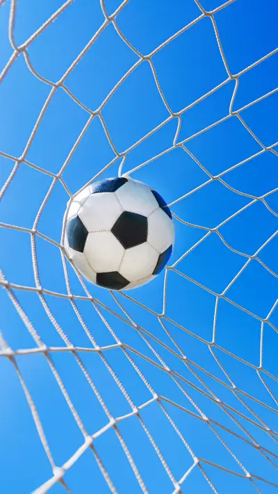 Soccer ball in soccer goal