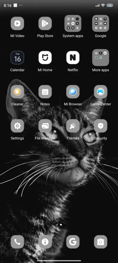 Black Cat - Screenshot 3