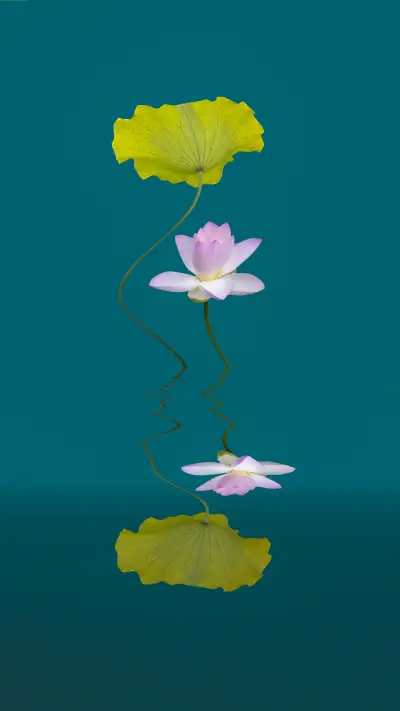 Time scattered in the summer - Screenshot 1