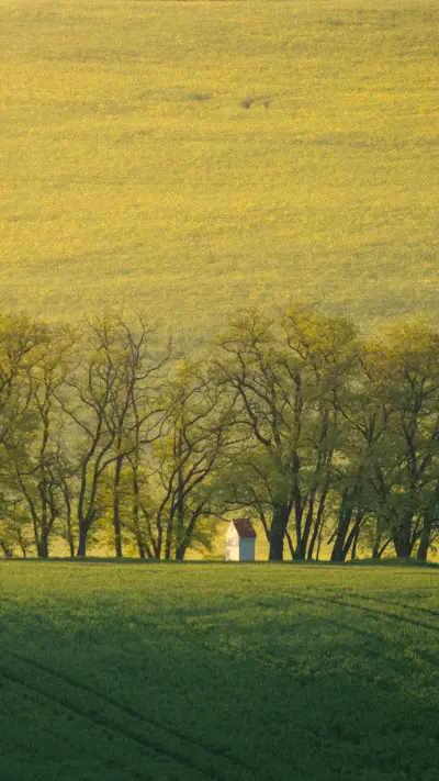 Green fields of the Czech Moravia - Screenshot 1