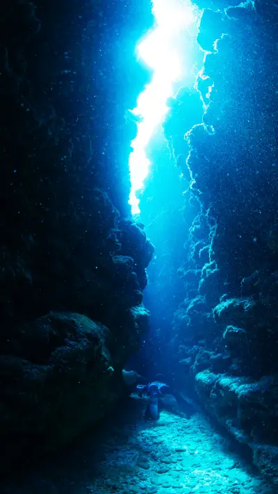 VCG41N620995064 - Screenshot 1