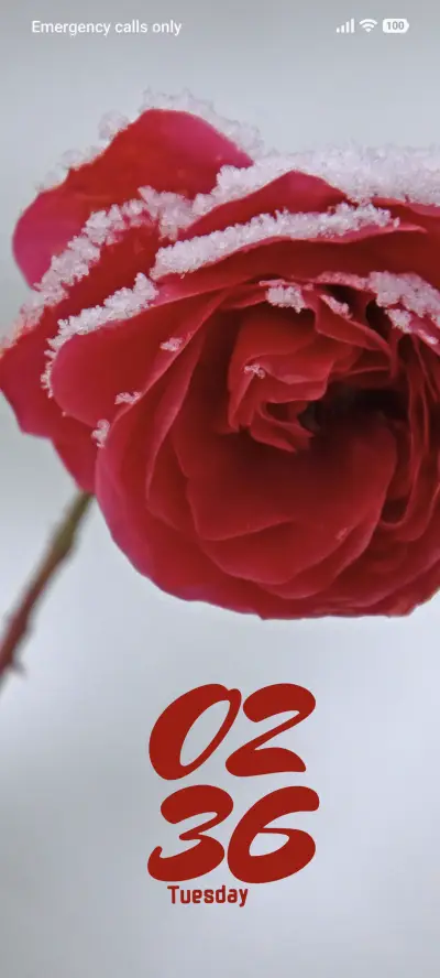 Winter Bloom - Screenshot 1