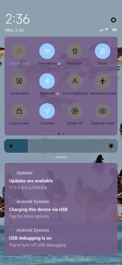 bird watching - Screenshot 5