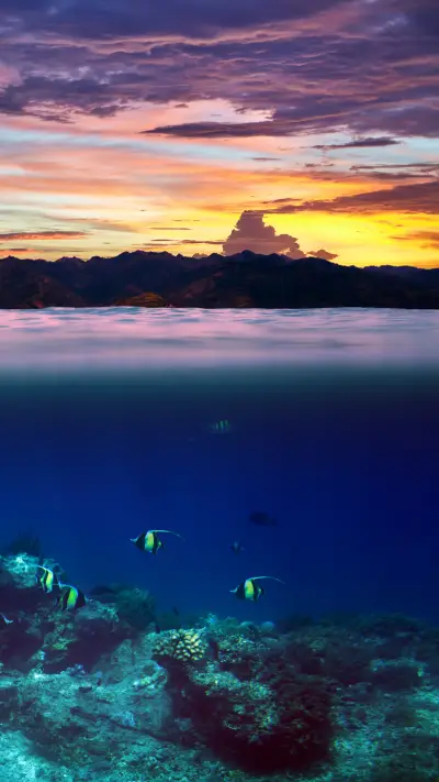 Sea World - Screenshot 1