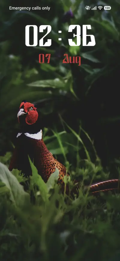 Pheasant THEME for Xiaomi MIUI HyperOS