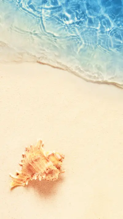 Beach Diary - Screenshot 1