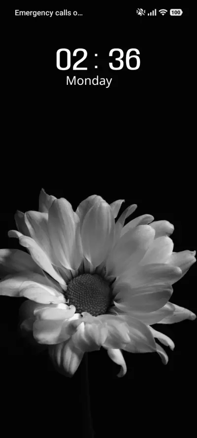 Silent Petal - Screenshot 1